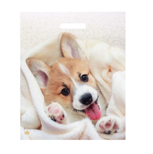 Пакет ПЭ с вырубной ручкой 38х45+3см (60) (Малыш Веня) Ламинированный Тико, ВУР58789