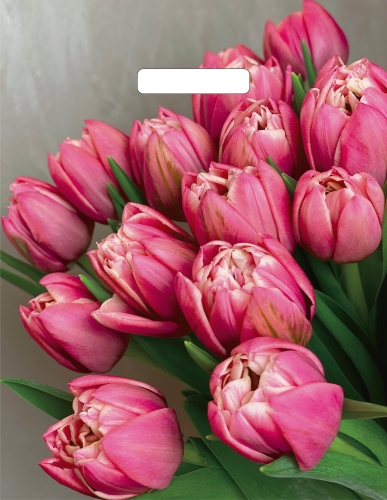 Пакет ПЭ с вырубной ручкой 31х40см (х50) (Стелла) Глянцевый, ВУР55119