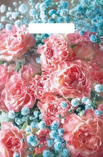 Пакет с вырубной неусиленной ручкой 20х30см (х100) (Джульетта), ВНР59053