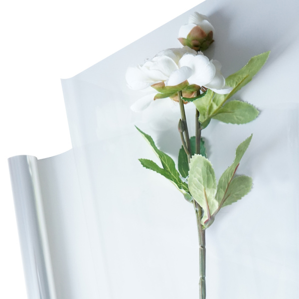 Пленка прозрачная, 200 г;рулон, 1007-PS